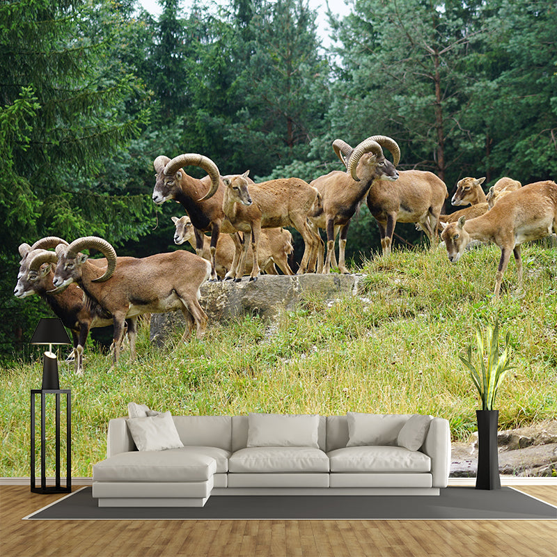 Modern Ovis Musimon Mural Wall Decor Mildew Resistant Living Room Wall Mural for Wall Decor