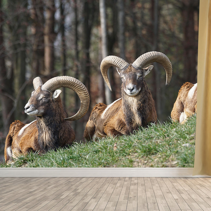 Modern Ovis Musimon Mural Wall Decor Mildew Resistant Living Room Wall Mural for Wall Decor