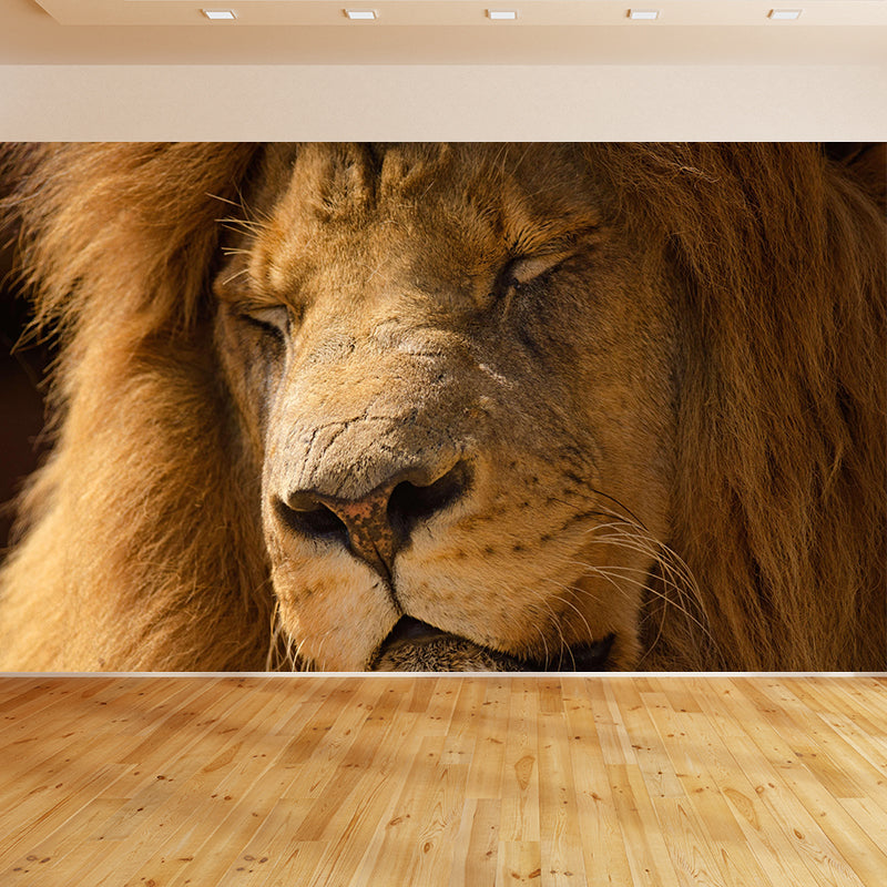 Modern Lion Face Portrait Mural Wall Decor Mildew Resistant Living Room Wall Mural for Wall Decor