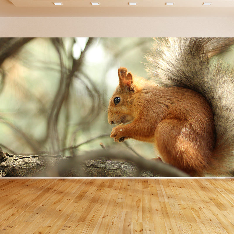 Photography Squirrel Mural Wall Decor Mildew Resistant Living Room Wall Mural Wall Art
