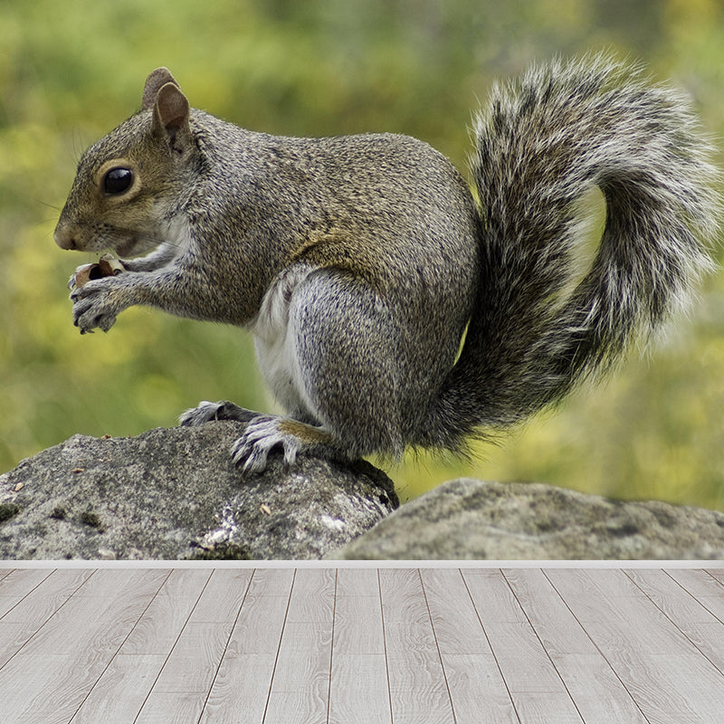 Photography Squirrel Mural Wall Decor Mildew Resistant Living Room Wall Mural Wall Art