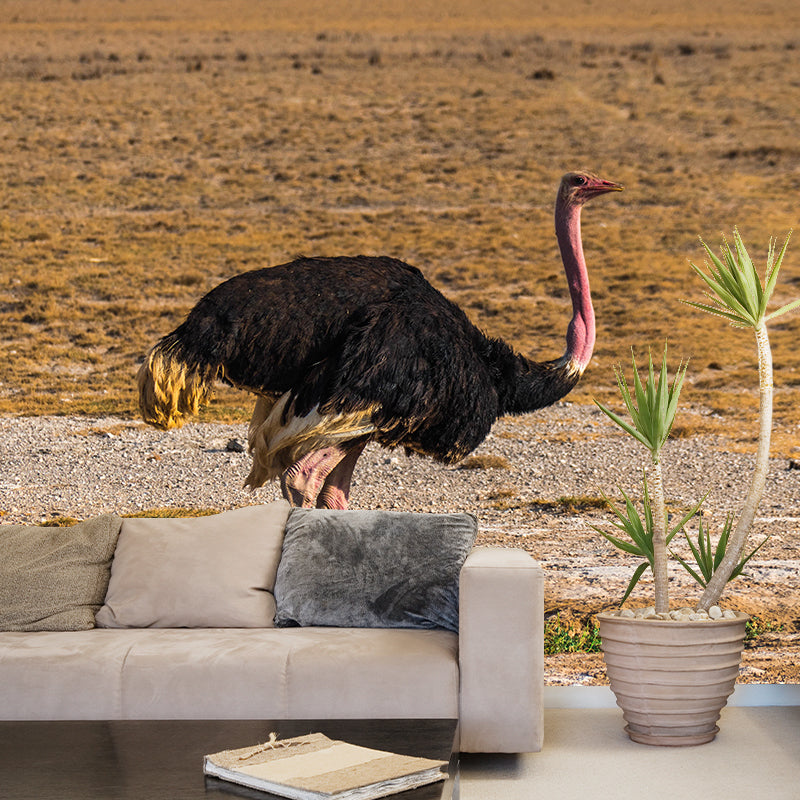 Modern Ostrich Mural Wall Decor Mildew Resistant Living Room Wall Mural for Wall Decor