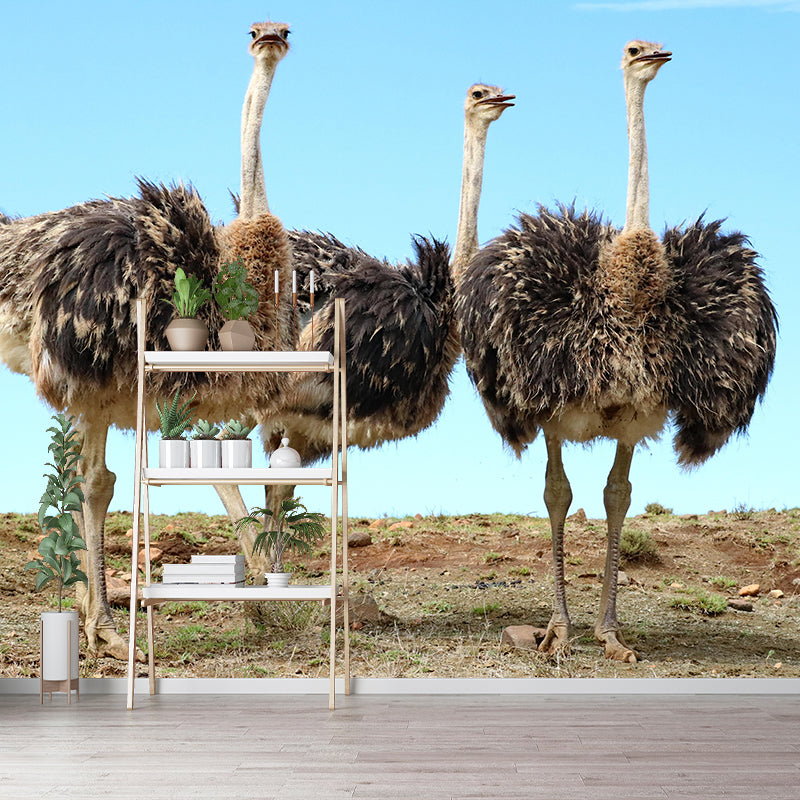 Modern Ostrich Mural Wall Decor Mildew Resistant Living Room Wall Mural for Wall Decor