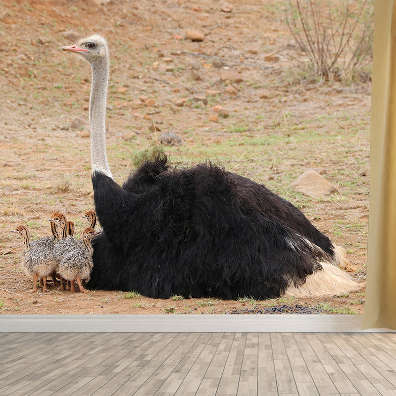 Modern Ostrich Mural Wall Decor Mildew Resistant Living Room Wall Mural for Wall Decor