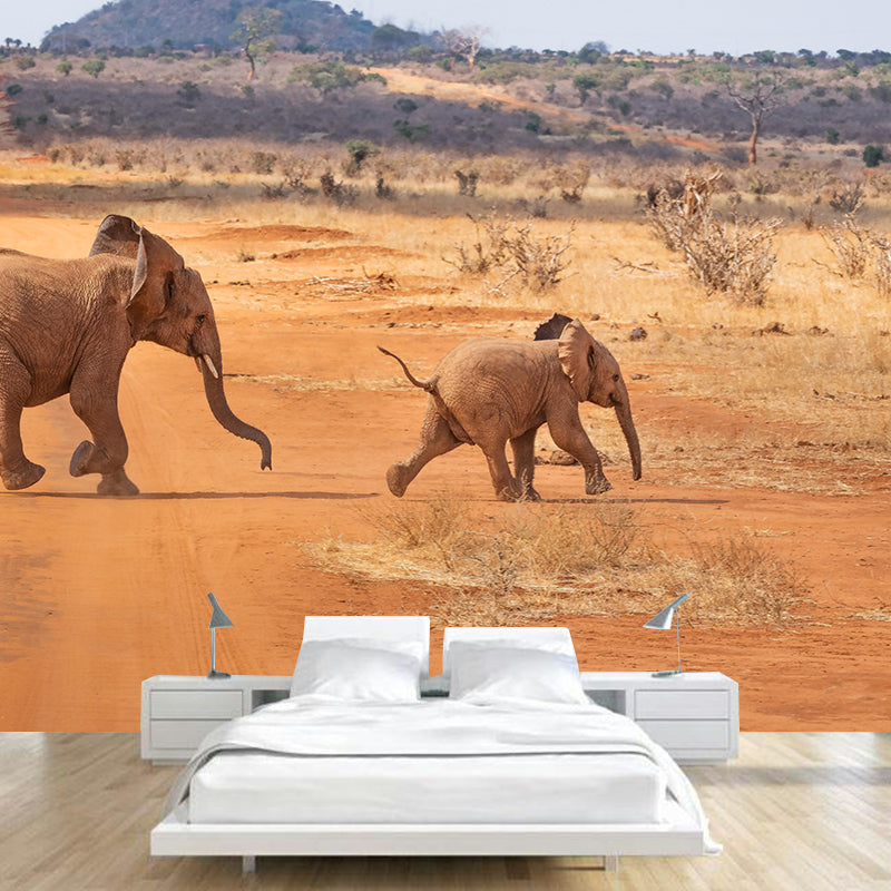 Photography Baby Elephant Mural Wall Decor Mildew Resistant Living Room Wall Mural Wall Art