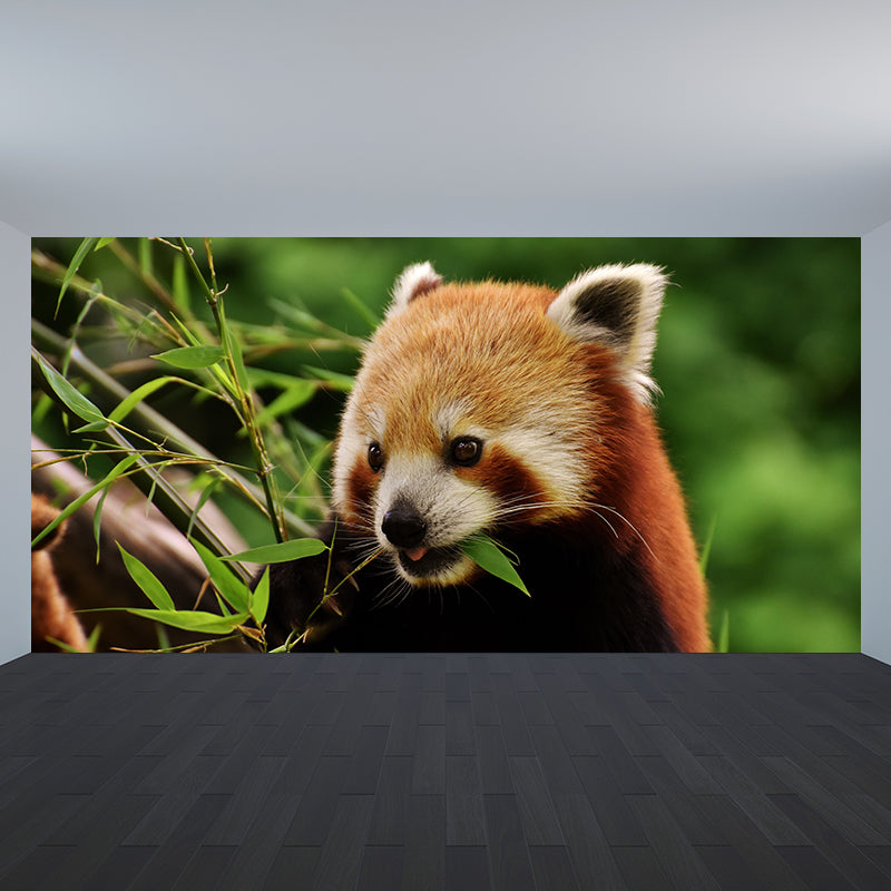 Modern Style Red-Panda Mural Wall Decor Mildew Resistant Living Room Wall Mural Wall Art
