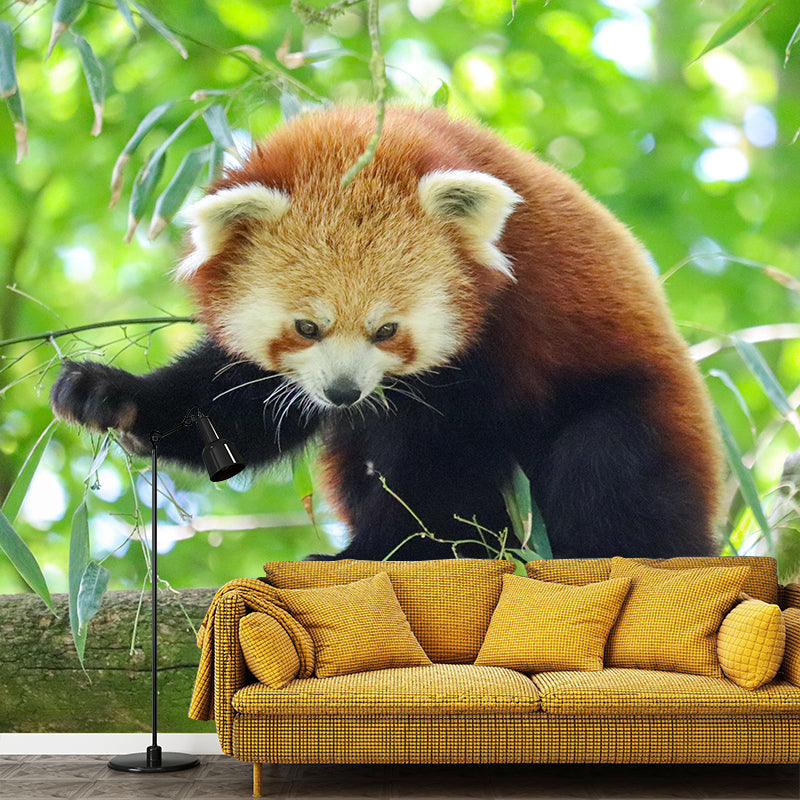 Modern Style Red-Panda Mural Wall Decor Mildew Resistant Living Room Wall Mural Wall Art