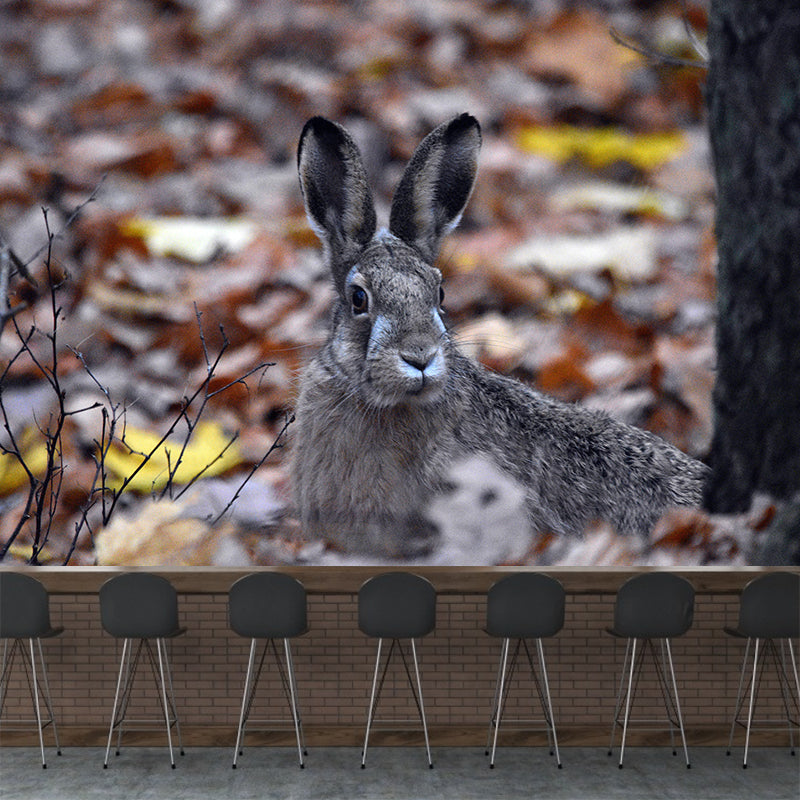 Photography Hare Mural Wall Decor Mildew Resistant Living Room Wall Mural Wall Art