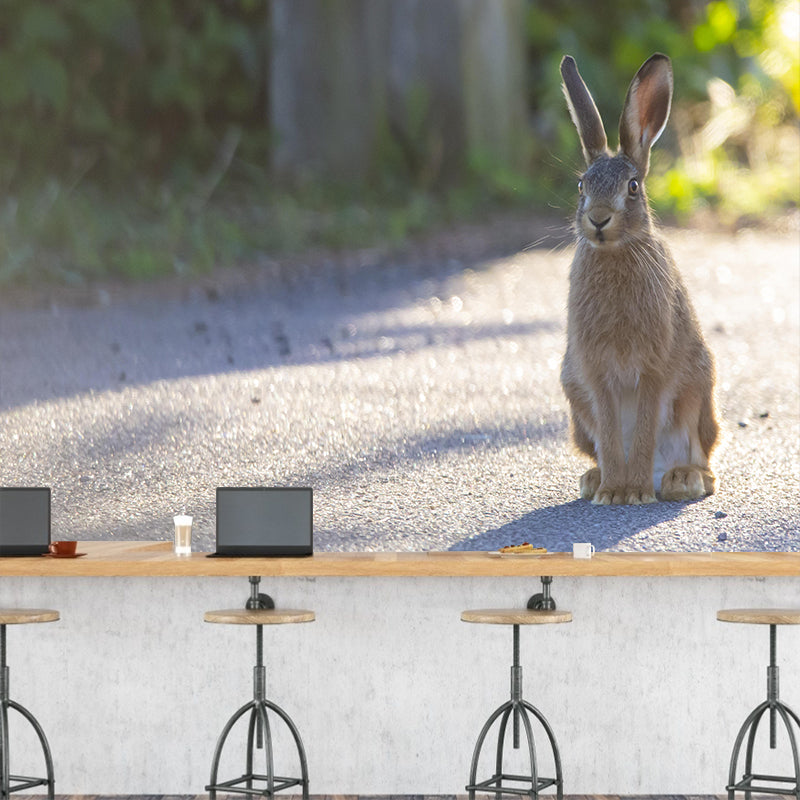 Photography Hare Mural Wall Decor Mildew Resistant Living Room Wall Mural Wall Art