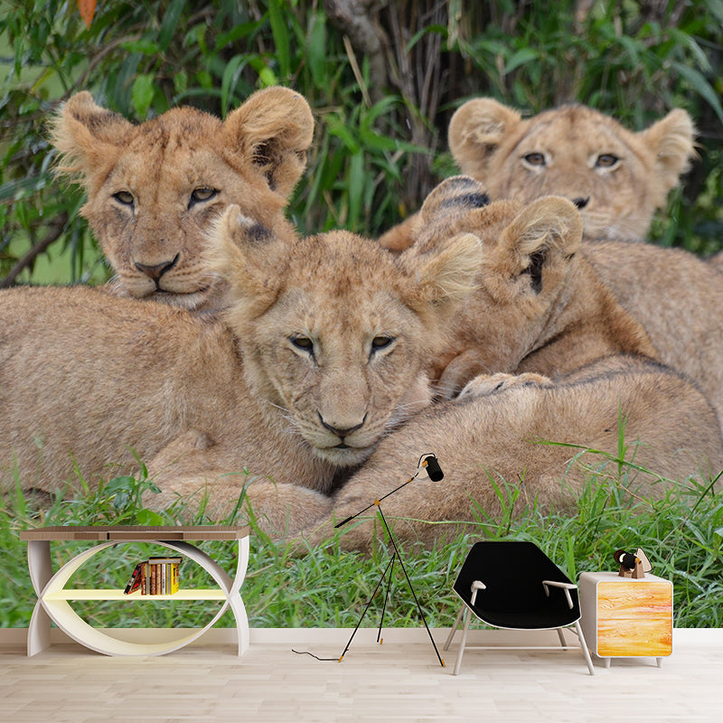 Modern Style Little Lion Mural Wall Decor Mildew Resistant Living Room Wall Mural Wall Art