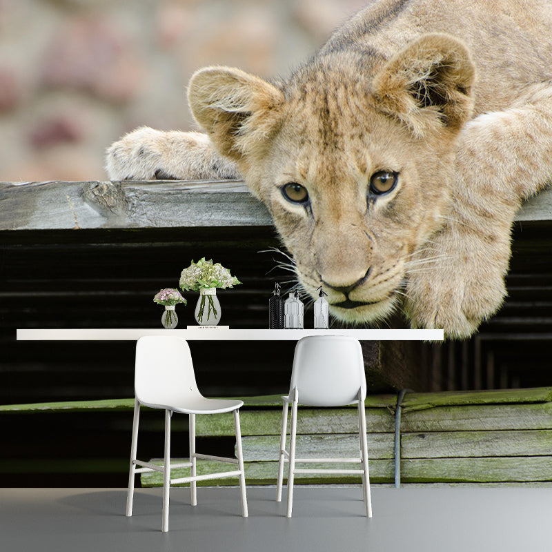 Modern Style Little Lion Mural Wall Decor Mildew Resistant Living Room Wall Mural Wall Art