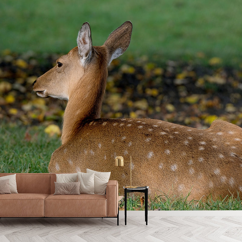 Modern Roe-Deer Mural Wall Decor Mildew Resistant Living Room Wall Mural Wall Art