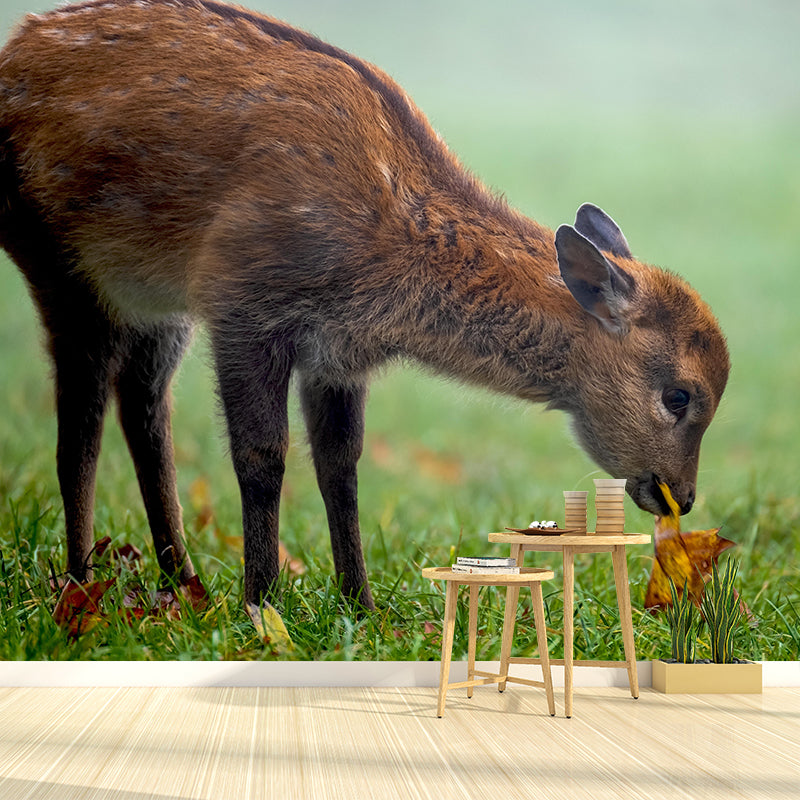 Modern Roe-Deer Mural Wall Decor Mildew Resistant Living Room Wall Mural Wall Art