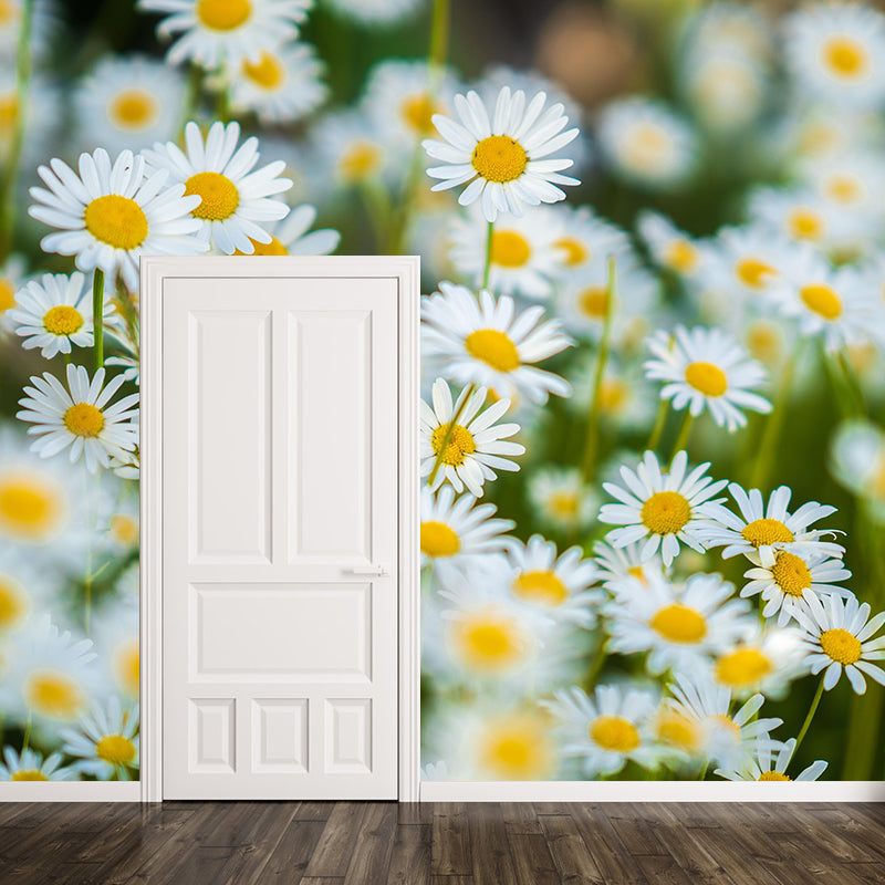 Light Color Daisies Blooming Photography Decorative Wall Murals for Bedrooms