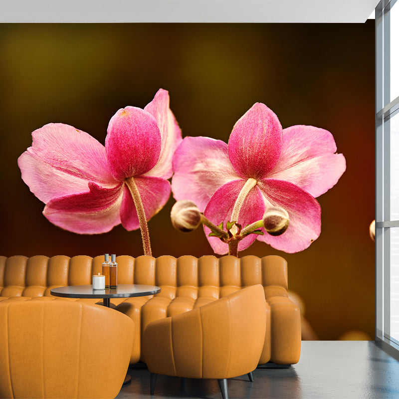 Light Color Anemone Blooming Photography Decorative Wall Murals for Bedrooms