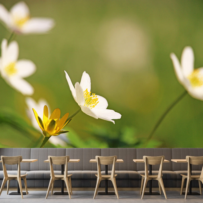 Light Color Anemone Blooming Photography Decorative Wall Murals for Bedrooms