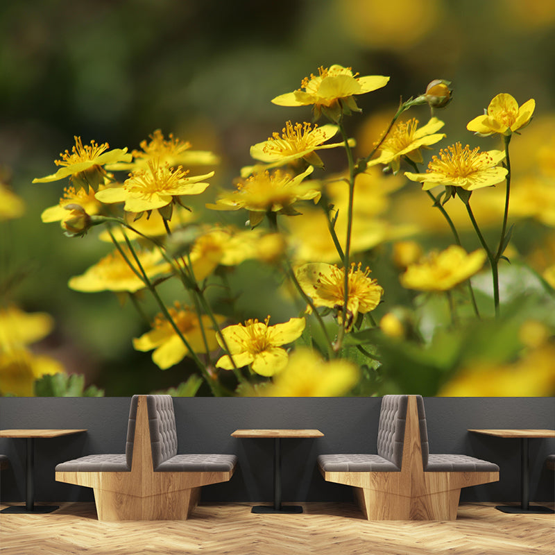 Light Color Anemone Blooming Photography Decorative Wall Murals for Bedrooms