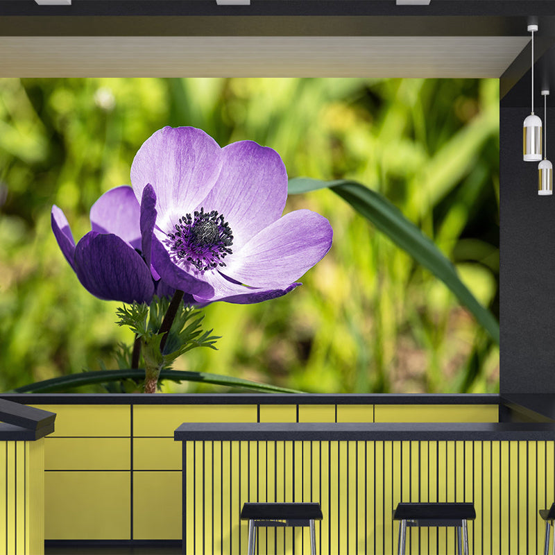 Light Color Anemone Blooming Photography Decorative Wall Murals for Bedrooms