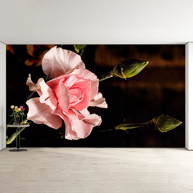 Light Color Carnation Blooming Photography Decorative Wall Murals for Bedrooms