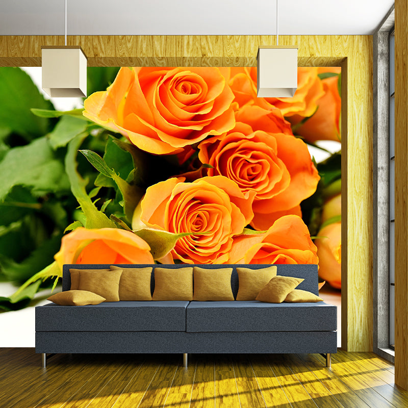 Soft Color Rose Flower Wall Mural Stain Resistant Wall Art for Living Room