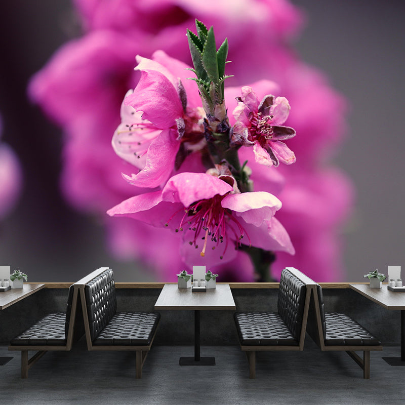 Peach Flower Blooming Wall Mural Photography Modern Living Room Wall Covering