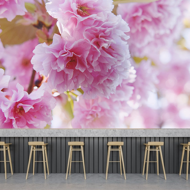 Cherry Blooming Wall Mural Photography Horizontal Modern Living Room Wall Covering
