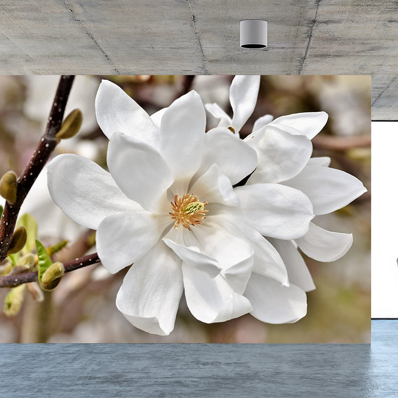 Contemporary Magnolia Wall Mural Moisture Decorative Eco-friendly for Home Decor