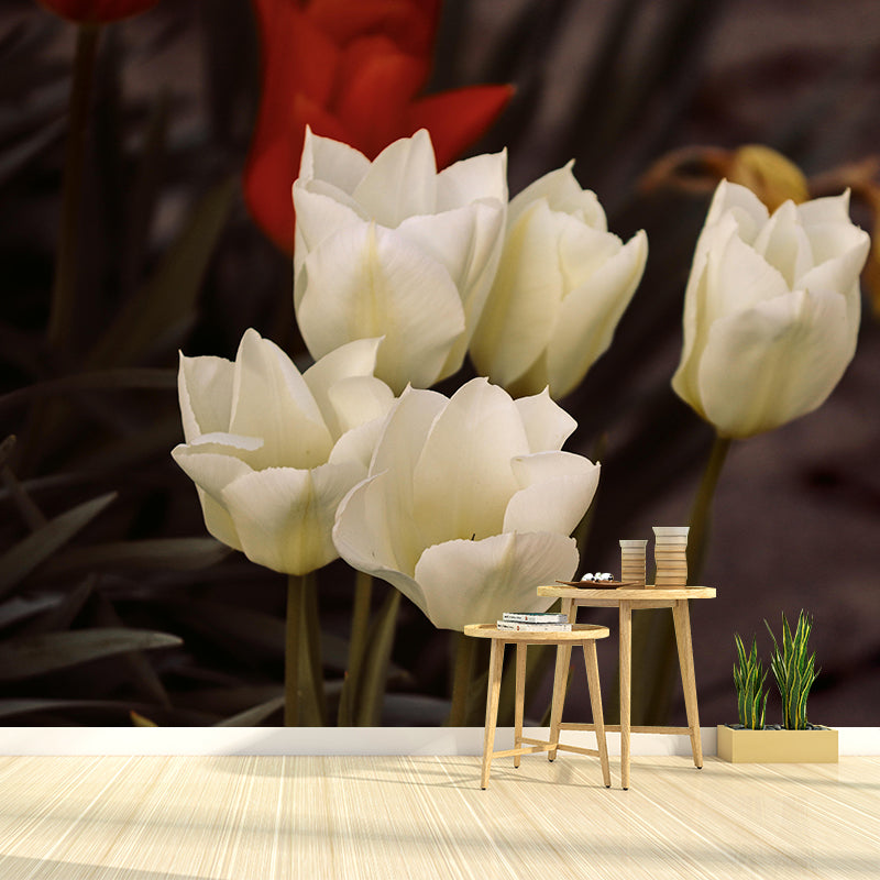 Soft Color Tulip Print Mural Contemporary Photography Wall Art for Home Decoration