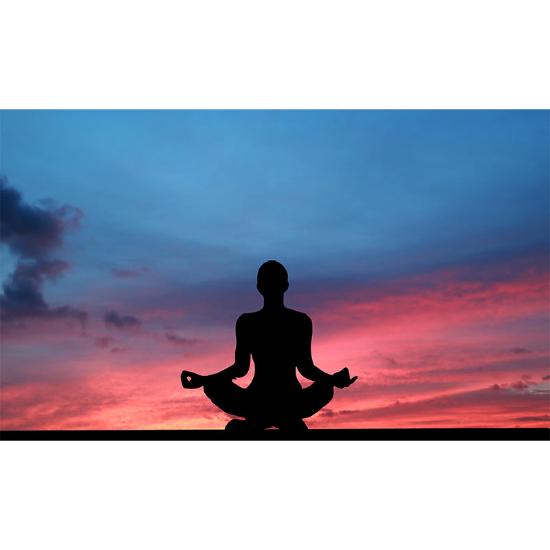 Contemporary Yoga Hobby Mural Mildew Resistant Covering for Accent Wall Fire Mural