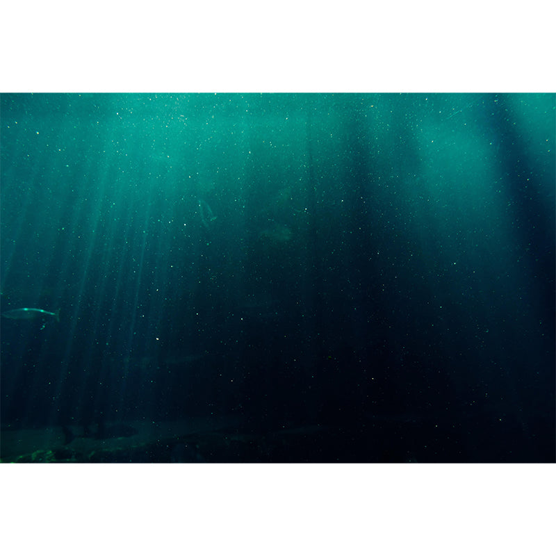 Tropix Sea Underwater Look-Up Murals Stain Resistant Wall Covering for Living Room