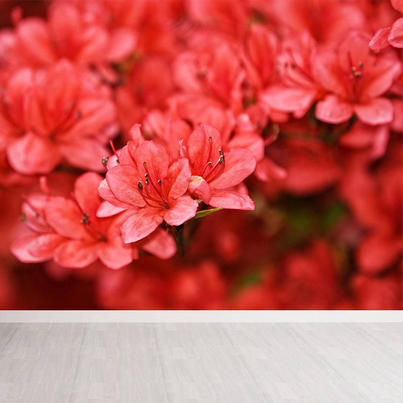 Contemporary Rhododendron Wall Mural Moisture Decorative Eco-friendly for Home Decor