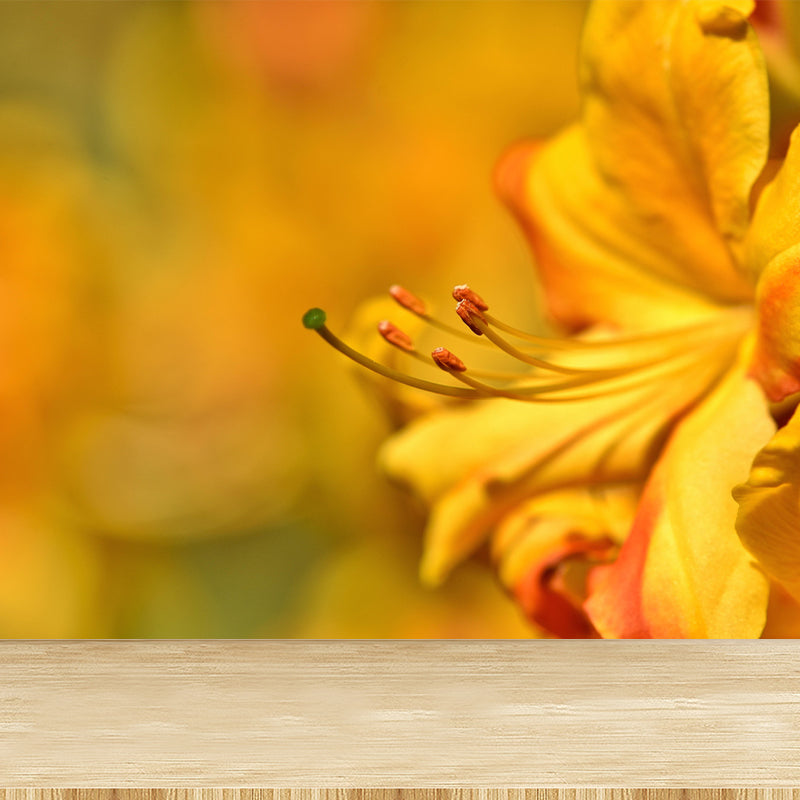 Contemporary Rhododendron Wall Mural Moisture Decorative Eco-friendly for Home Decor