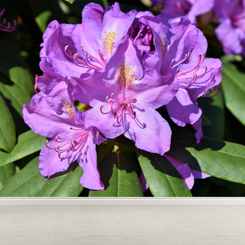 Contemporary Rhododendron Wall Mural Moisture Decorative Eco-friendly for Home Decor
