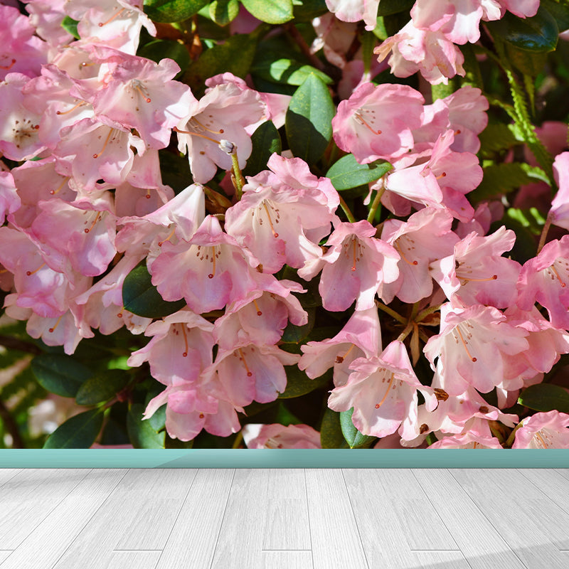 Contemporary Rhododendron Wall Mural Moisture Decorative Eco-friendly for Home Decor