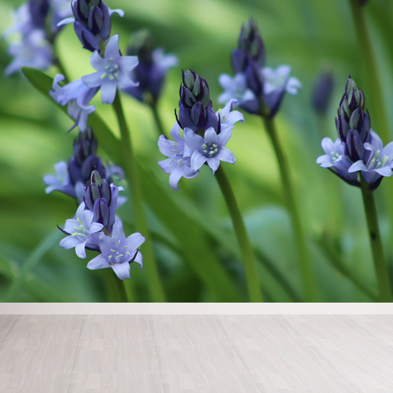 Hyacinths Flower Wall Mural Photography Horizontal Modern Living Room Wall Covering