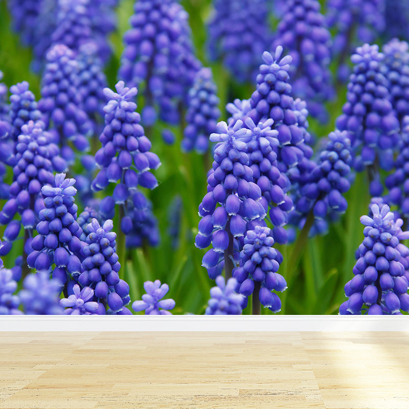 Hyacinths Flower Wall Mural Photography Horizontal Modern Living Room Wall Covering