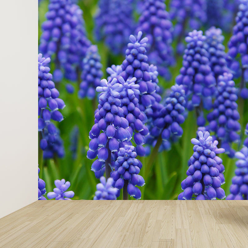 Hyacinths Flower Wall Mural Photography Horizontal Modern Living Room Wall Covering