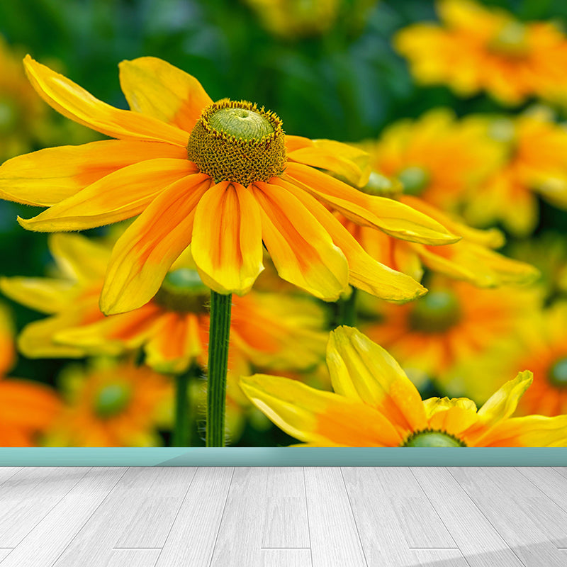 Contemporary Flower Blooming Wall Mural Moisture Decorative Eco-friendly for Home Decor