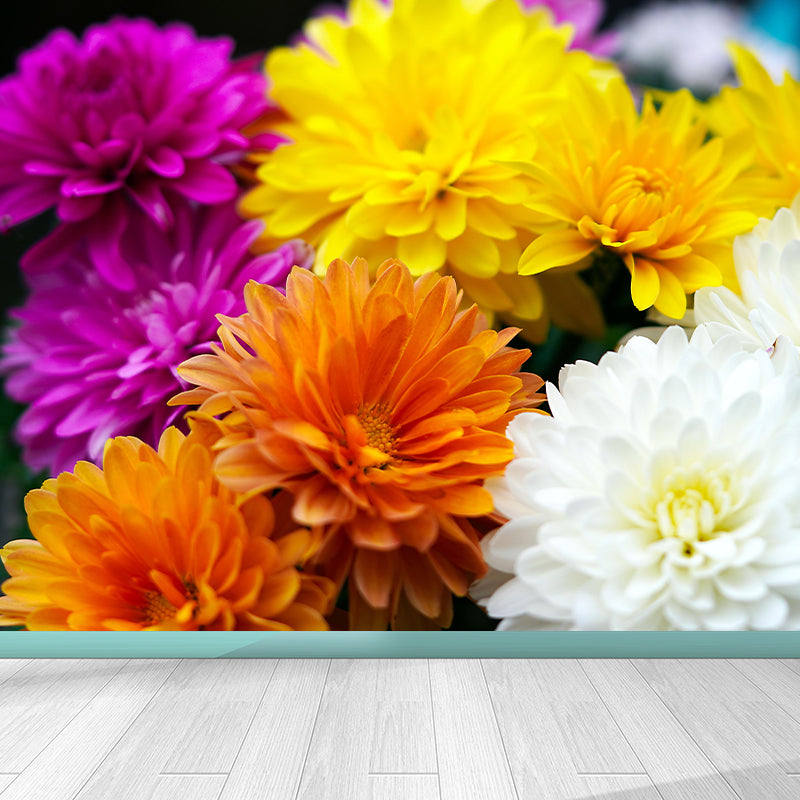 Chrysanthemum Wall Mural Photography Horizontal Modern Living Room Wall Covering