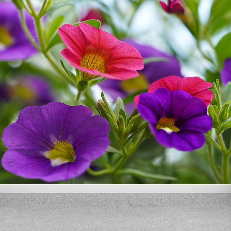 Contemporary Morning Glory Wall Mural Moisture Decorative Eco-friendly for Home Decor