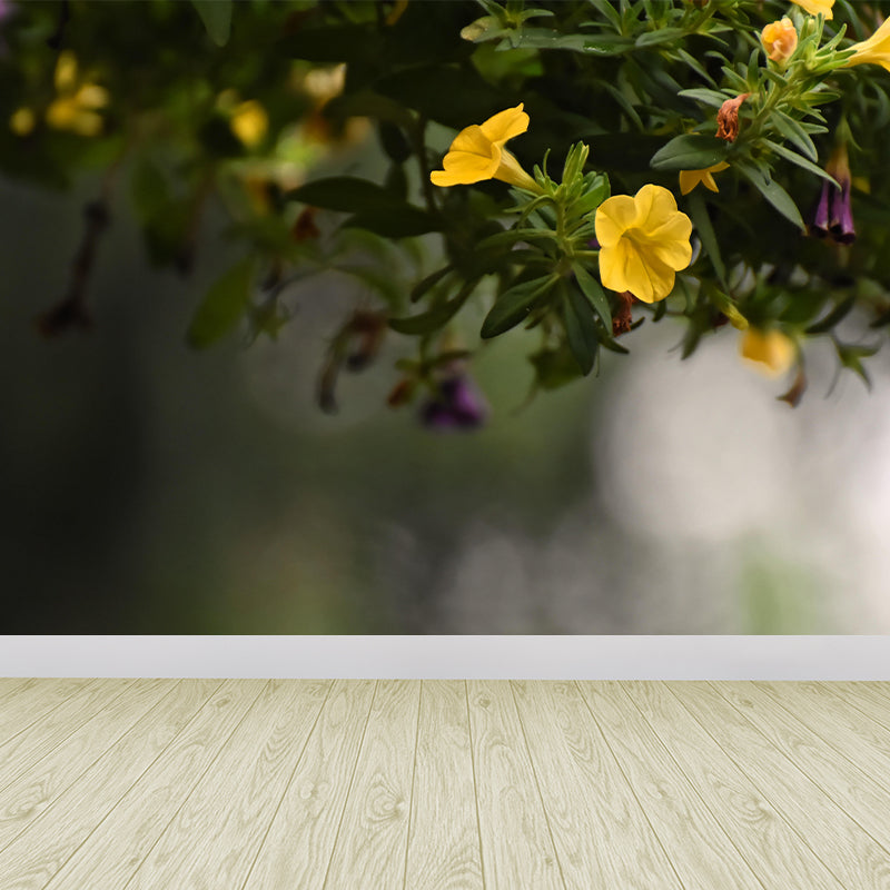 Contemporary Morning Glory Wall Mural Moisture Decorative Eco-friendly for Home Decor