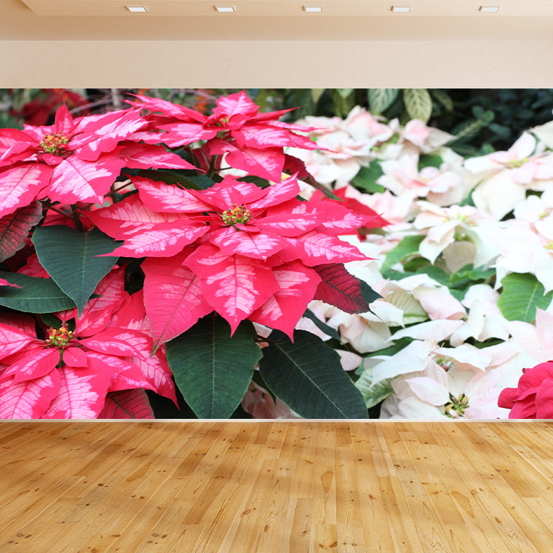 Contemporary Poinsettia Wall Mural Moisture Decorative Eco-friendly for Home Decor