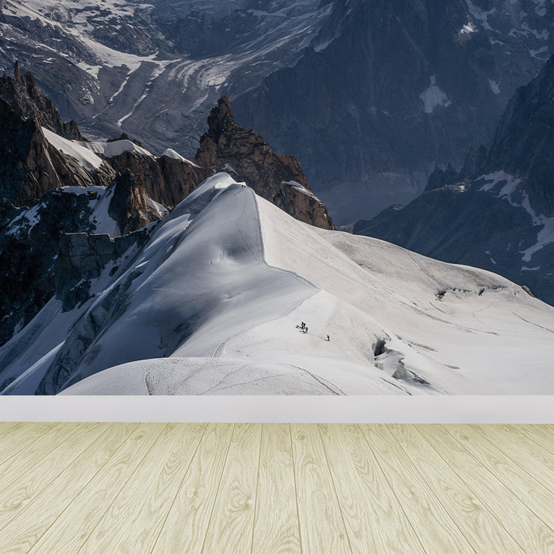 Mountain Range  Landscapes Mural Wallpaper in different seasons Indoor Wall Art for Home Decor