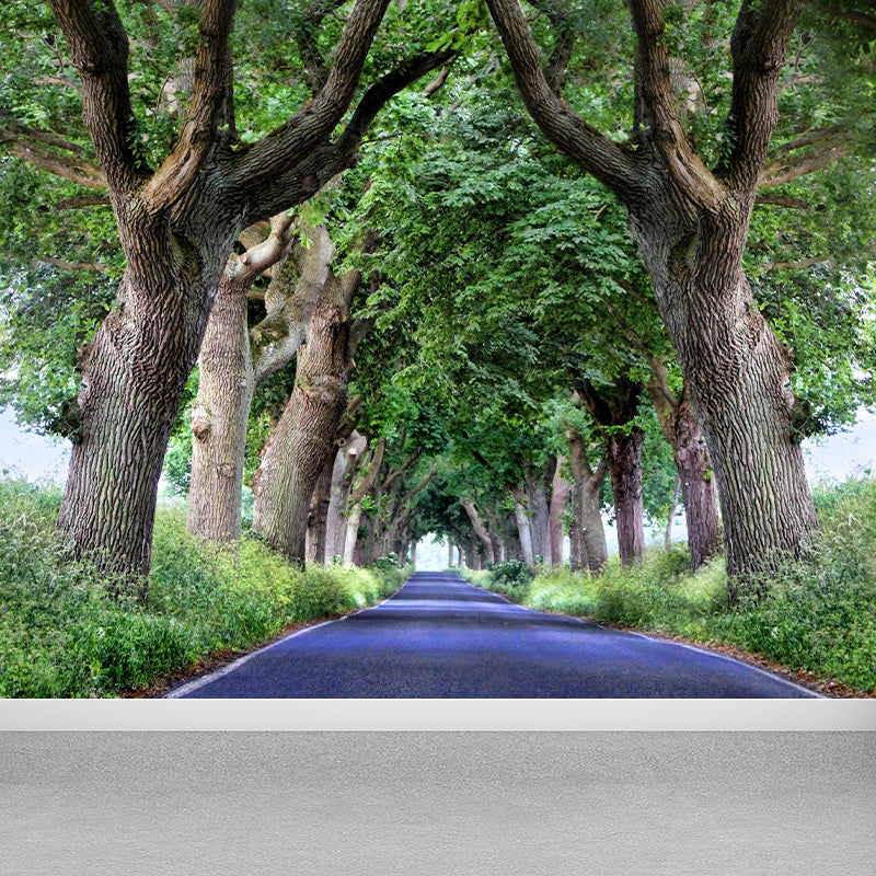 Customized Forest Trail Wall Mural Decals Home Decoration Living Room Wall Decor in Soft Color