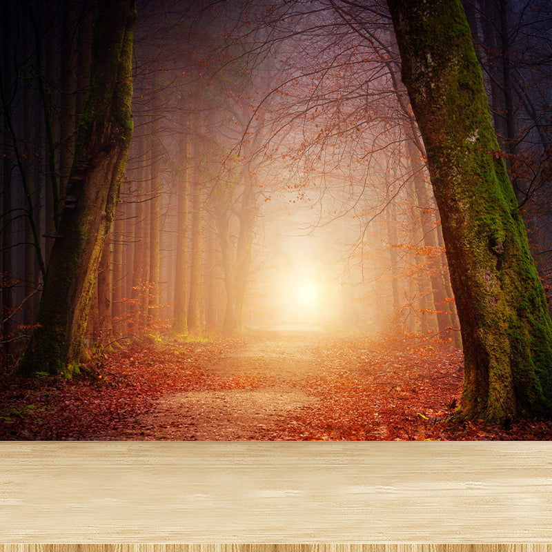 Customized Forest Trail Wall Mural Decals Home Decoration Living Room Wall Decor in Soft Color