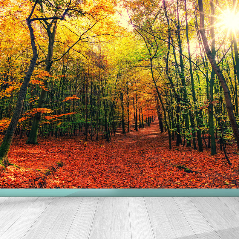 Customized Forest Trail Wall Mural Decals Home Decoration Living Room Wall Decor in Soft Color