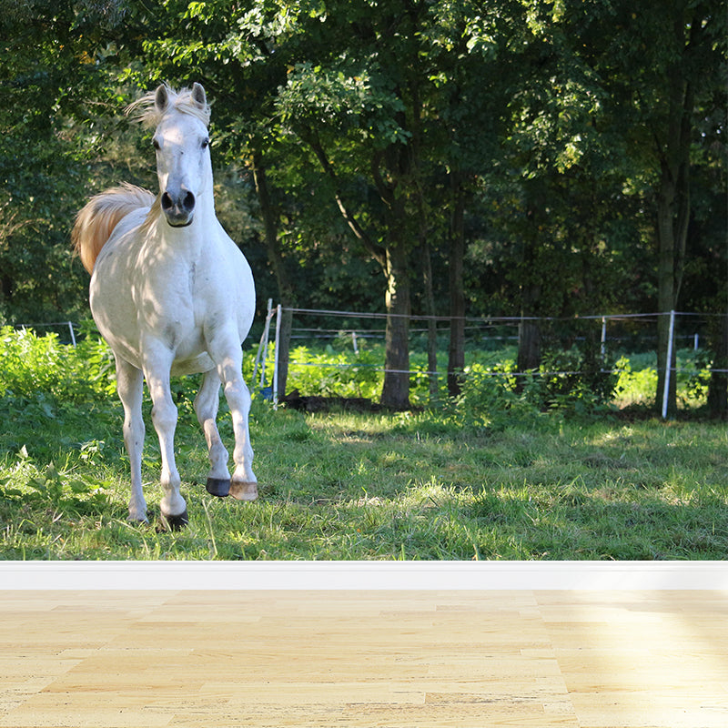 Customized White Horse Mural Decal for Kitchen Animals Wall Art in Soft Color