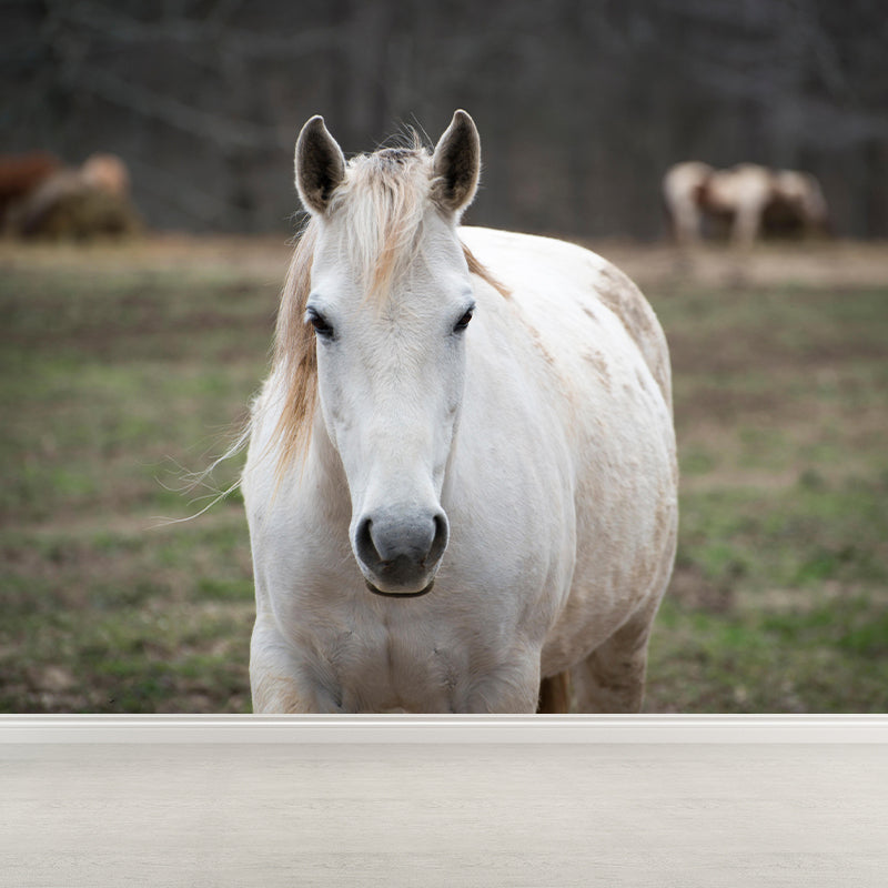 Customized White Horse Mural Decal for Kitchen Animals Wall Art in Soft Color