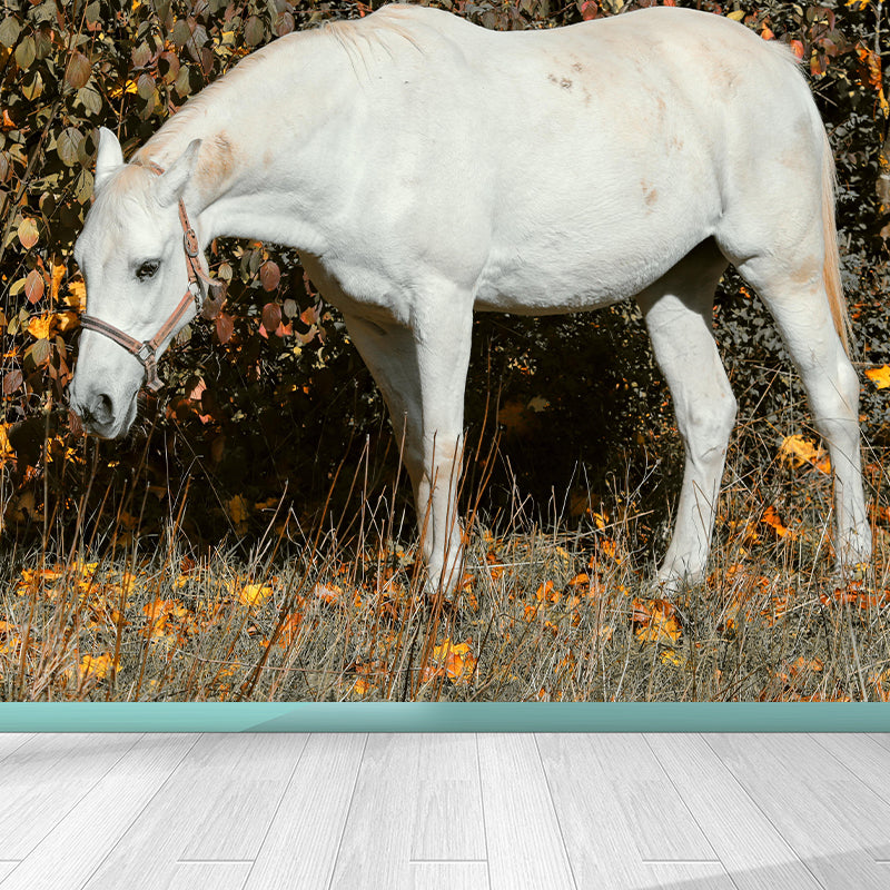 Customized White Horse Mural Decal for Kitchen Animals Wall Art in Soft Color