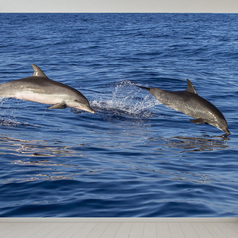 Photography Lovely Dolphins Mural Wallpaper Contemporary Wall Covering for Home Decoration